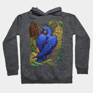 Hyacinth Macaw Hoodie